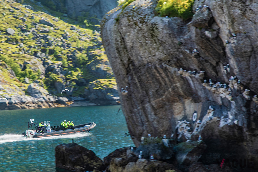 モーターボートでイーグルウォッチング。海上からフィヨルドの美しい景観を堪能する