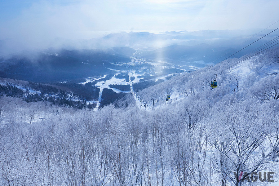 霧氷テラスまではゴンドラを使う
