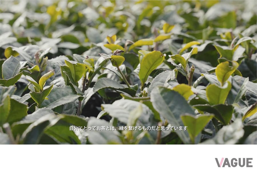 Tastemade × MXP「INNOVATORS」シリーズ／櫻井焙茶研究所：櫻井真也氏