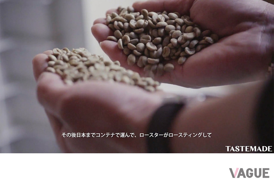 Tastemade × MXP「INNOVATORS」シリーズ／GLITCH COFFEE & ROASTERS：鈴木清和氏