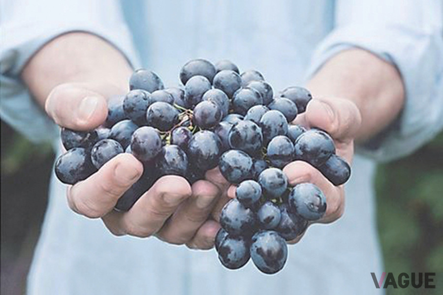 エペルネーは気温が高く、高品質なピノ・ノワールが収穫することができる土地だ