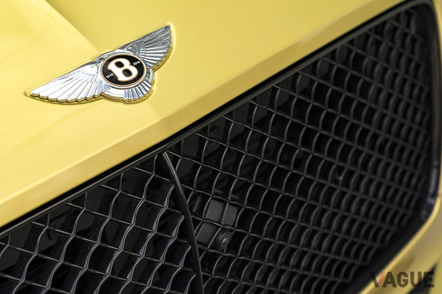 エクステリアのブライトウェア（クロームメッキされたパーツ）をダークカラーに変更するオプションのブラックラインスペシフィケーションで、グリルをブラック化