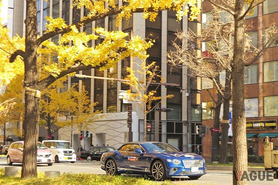 前回の「日本クラシック&エキサイティングカーラリー」の様子