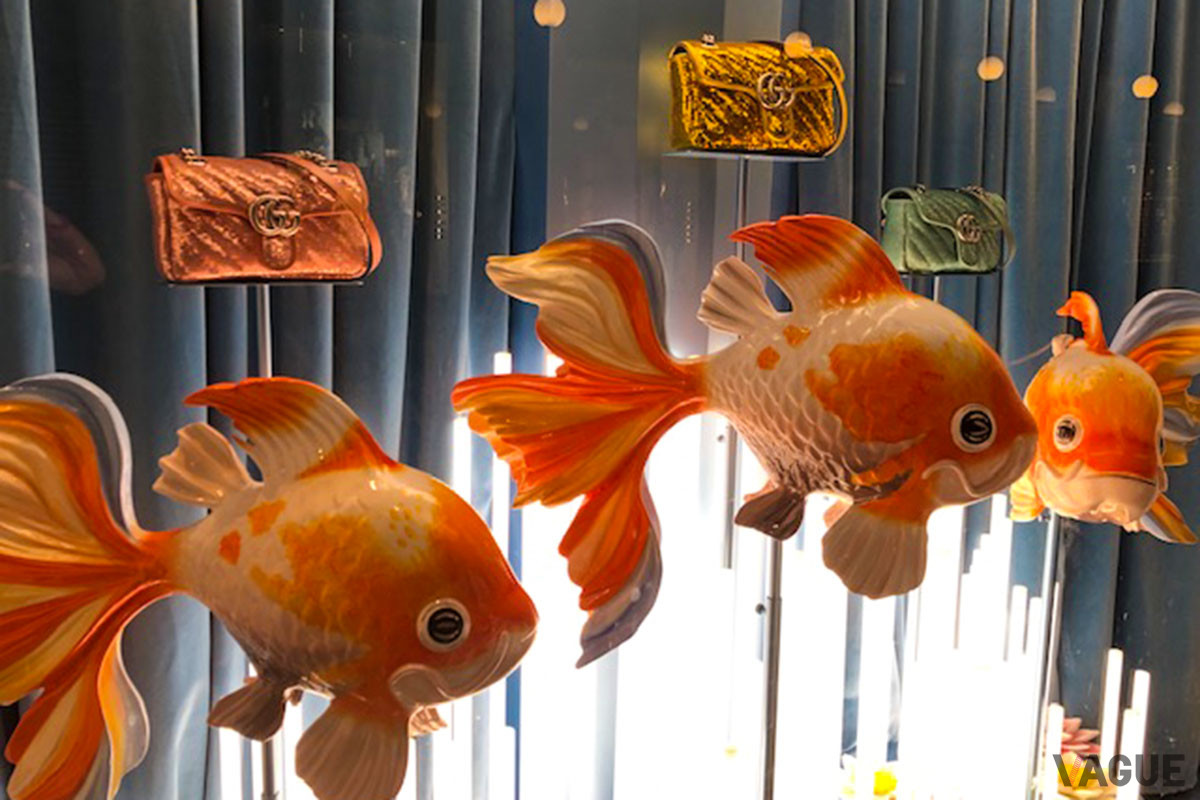GUCCIのバックと大きな金魚の展示