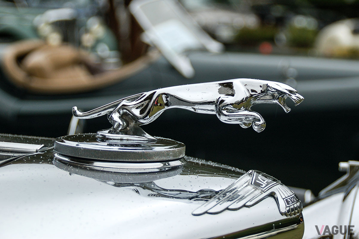 ジャガーの「リーピングキャット」