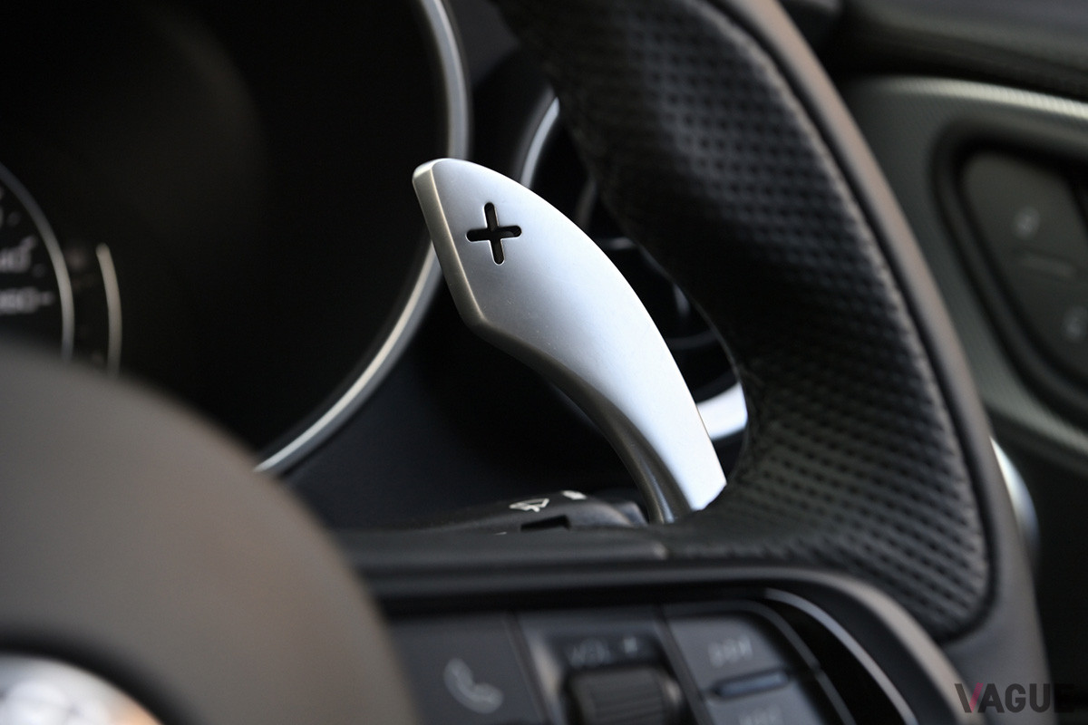 SUVのパドルとしてはかなり大きい