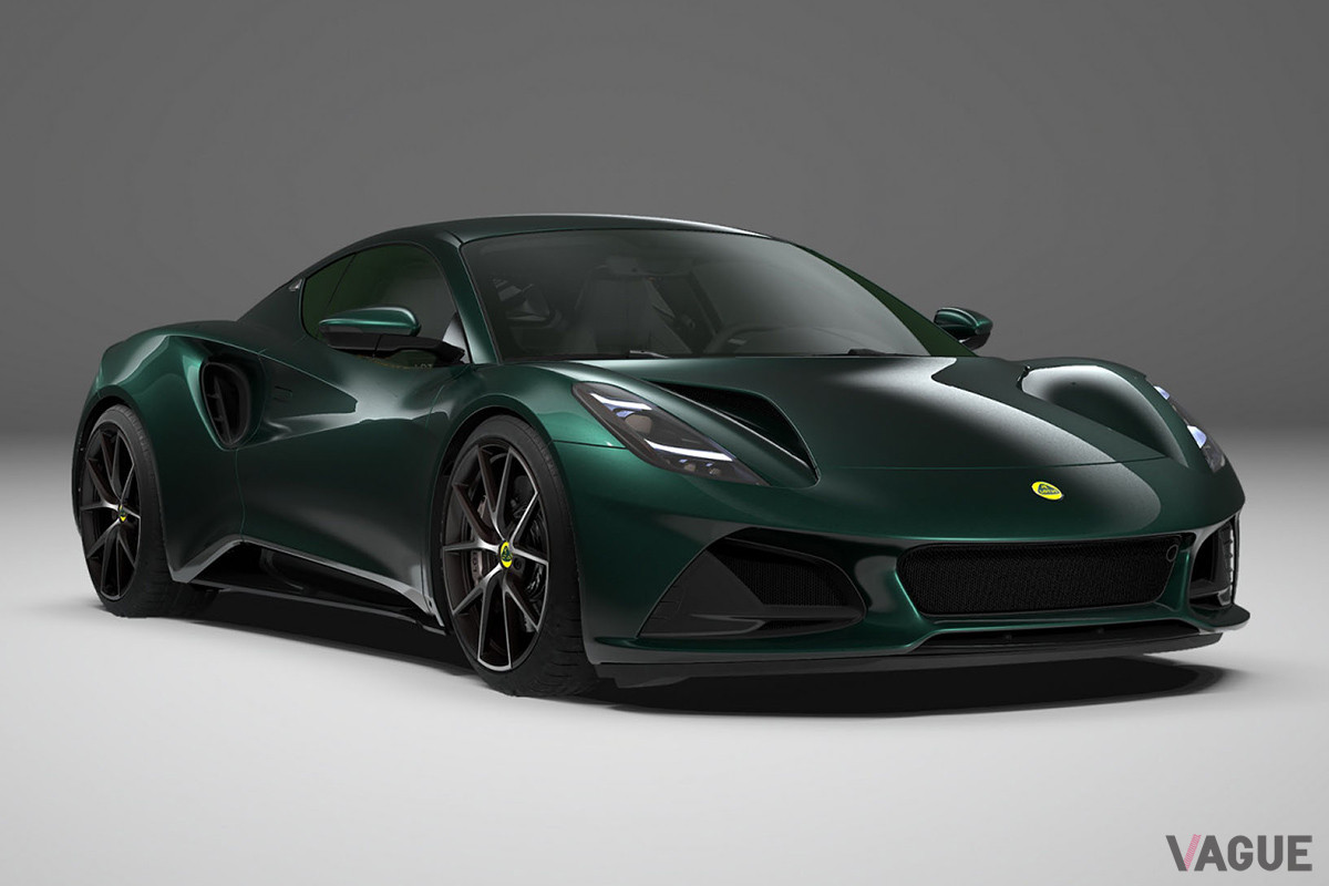 ダークバーダントのボディカラー