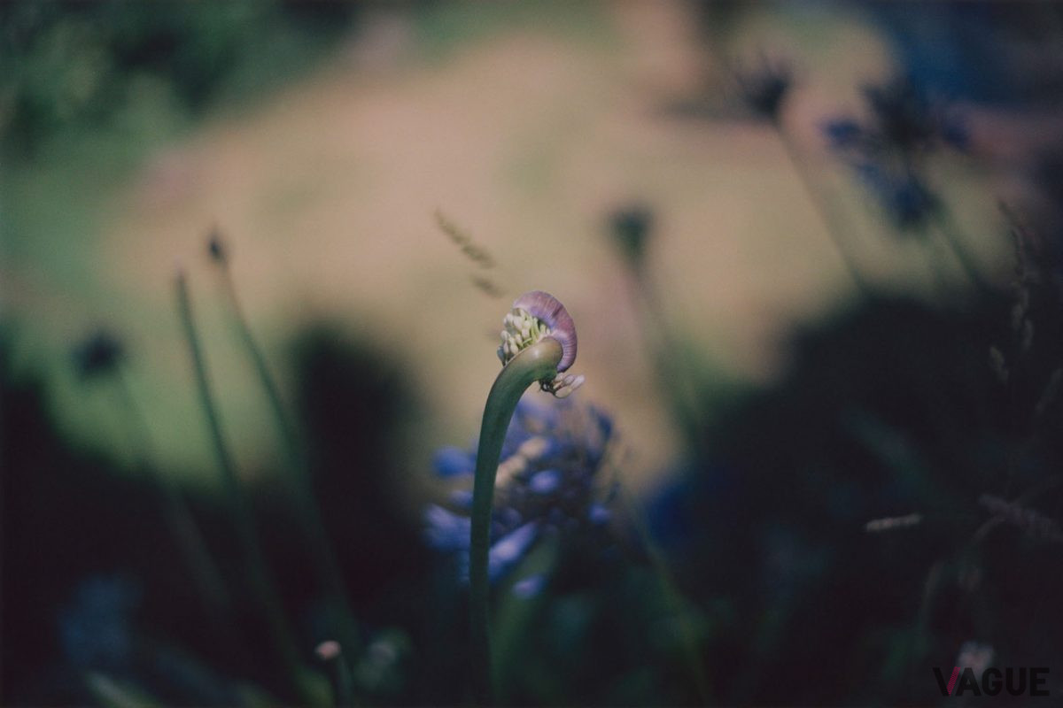 東海三県のアーティストの個展【2月】瀧本幹也 写真展「AFTERIMAGE」