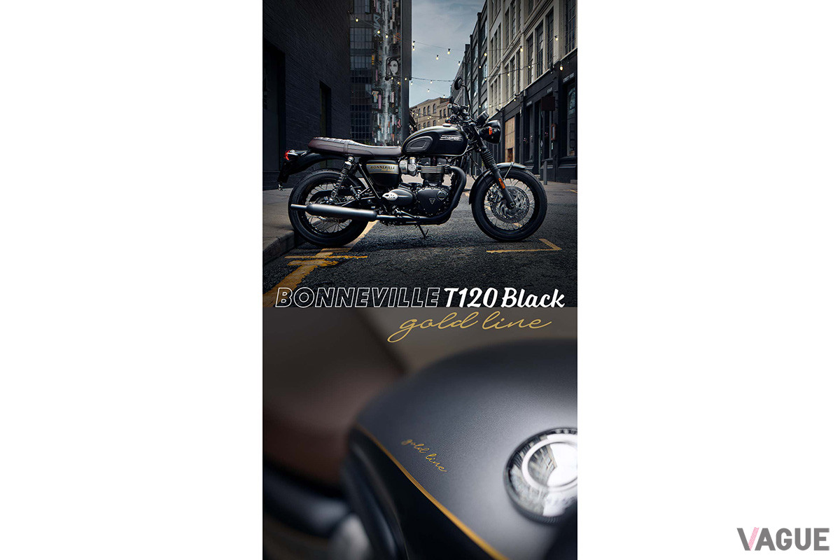 ボンネビルT120ブラック ゴールドライン エディション