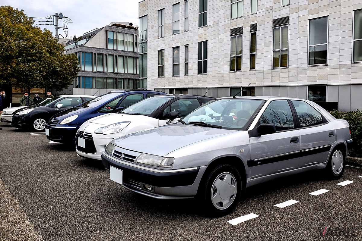 1990年代後半には日本でも人気を博した「エグザンティア」