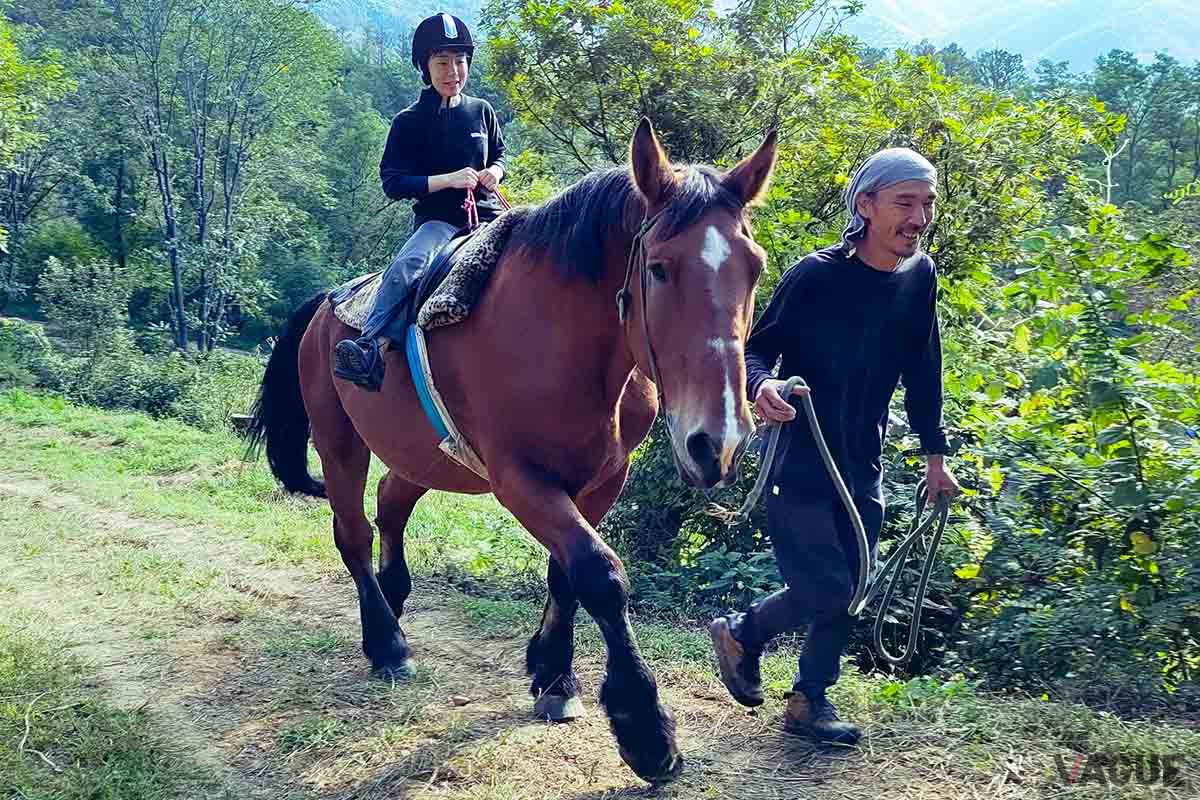 北海道ばんえい競馬の引退馬「ヤマト」に乗り、キャンプ場を周遊できる乗馬体験プランを用意。人馬一体感を味わいながら、裏山で遊ぶようにキャンプ場をめぐることができる