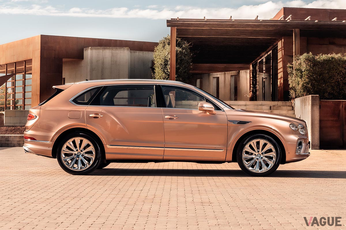 真横から見るとリアドアの大きさがよく分かる