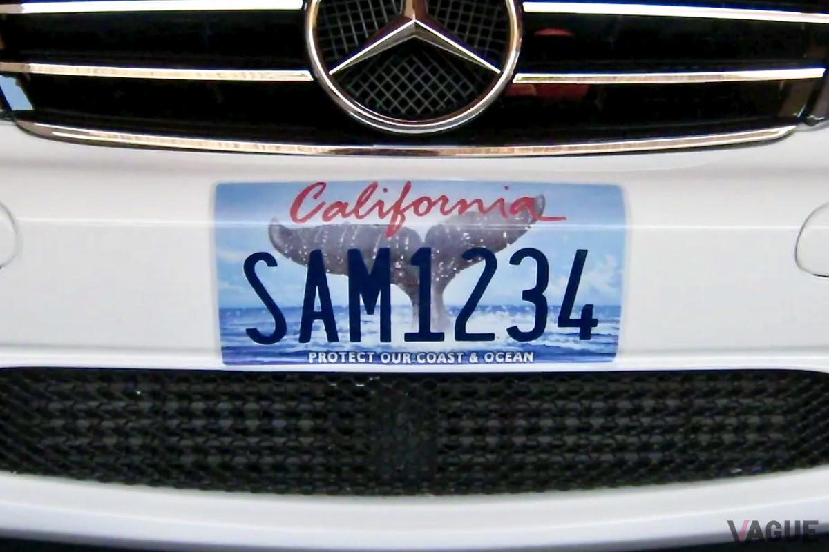 グリルやエアインテークを避けてナンバーを取り付けられる（C）License Plate Wrap