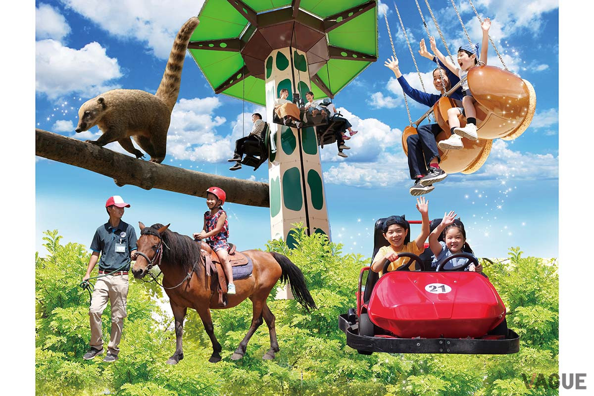 系列の遊園地「池の平ファミリーランド」や「アミューズメント館」にあるボウリング場や室内温水プール、ゲームコーナーも楽しめる