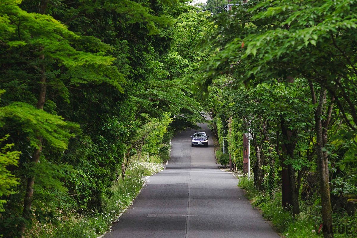 VW改良新型「ポロ」