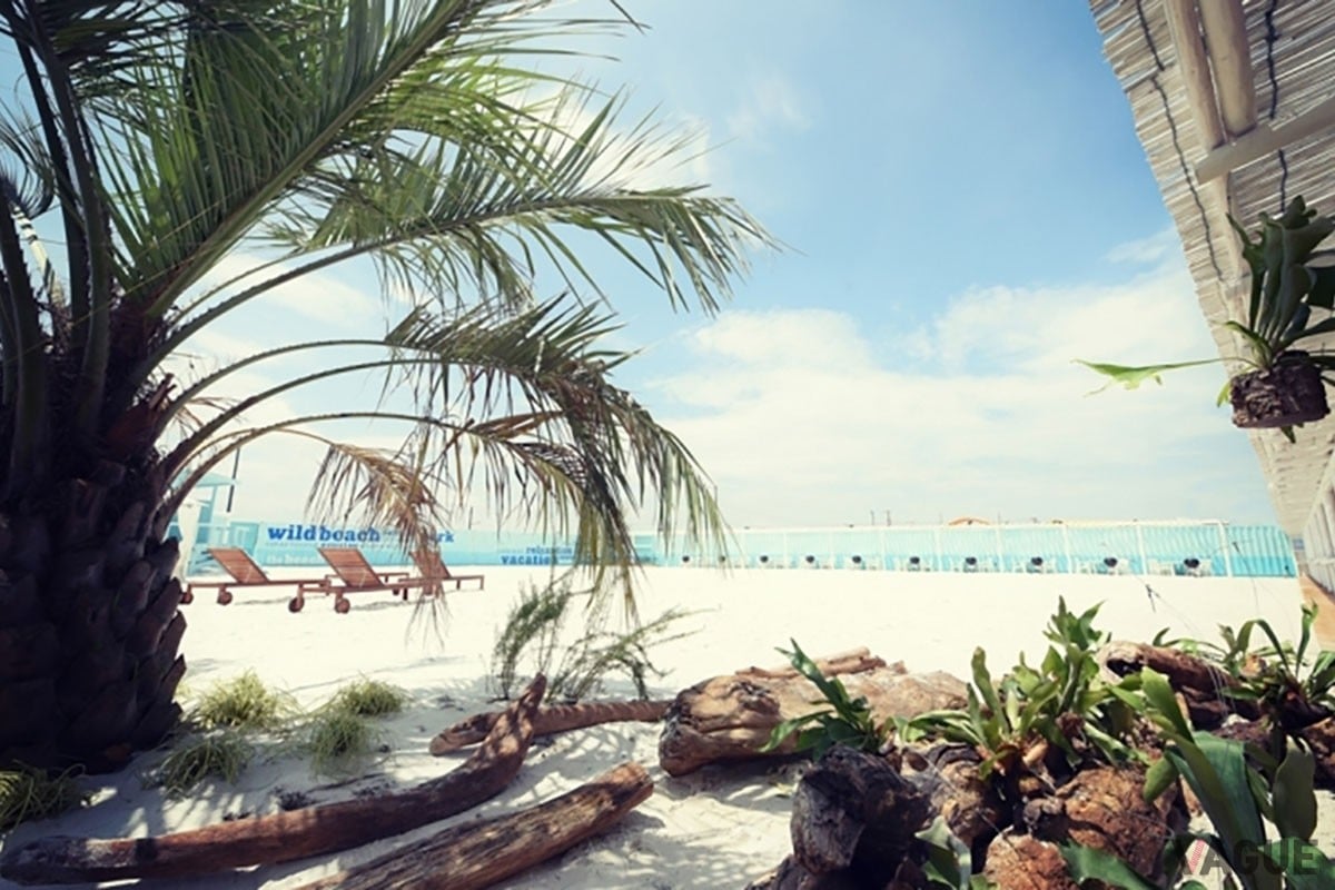 新デザインのキャンプフィールドと新しい利用プランが登場した都市型のスマートなアウトドア施設「WILDBEACH seaside glamping park」