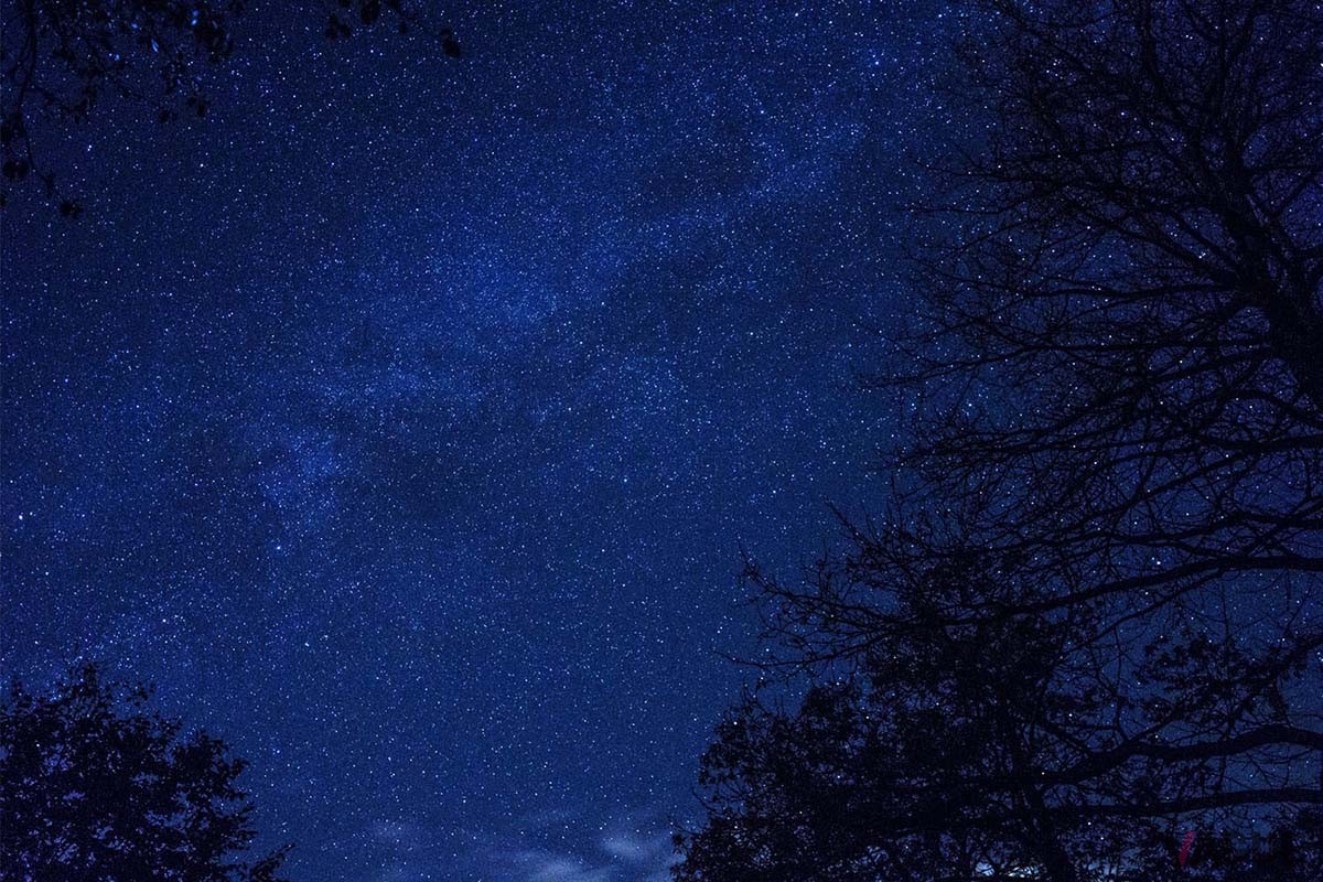 敷地内からは満天の星空を堪能できる