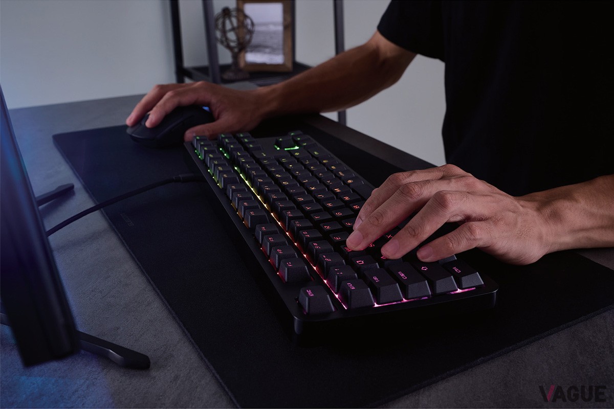 VK300とVK310には、RGBのバックライトLEDも備わっている