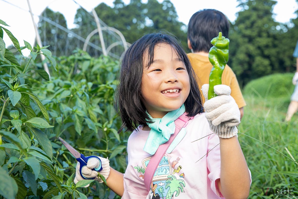 「THE FARM」：1年を通じて60品目、100種類以上の野菜を栽培しており宿泊者は季節の野菜収穫体験（1袋分）が可能。収穫した野菜はBBQに加えても、持ちかえってもOK。午前と午後の2回開催されるので、もう一度収穫体験したい場合は1袋1650円で参加できる