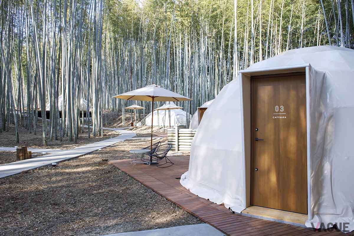 「The Bamboo Forest」：動物園に隣接するグランピングエリアは竹林の中にありすがすがしい雰囲気。共用棟内には各客室専用のシャワーブースがあり時間を気にせず自由に利用できるのがうれしい