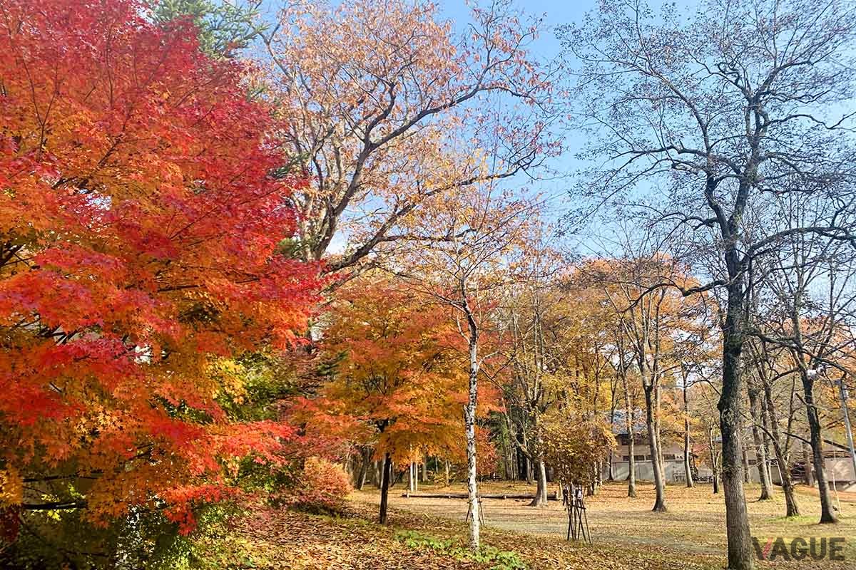 全国に続々と誕生中の「RVパーク」では安心で快適な車中泊を楽しめる（C）JRVA