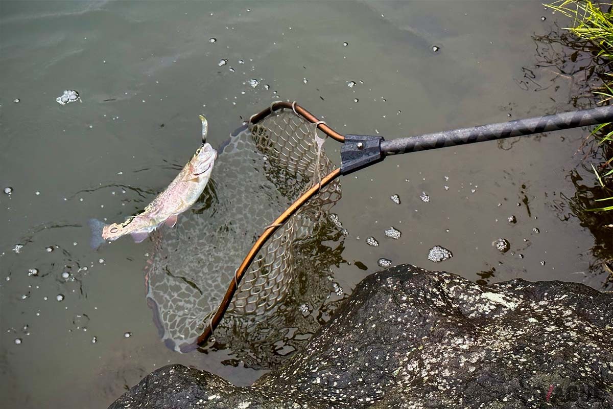 多くのエリアでは取り込みに使うランディングネットはレンタルすることが可能。魚をリリース（放流）する際、魚体に触れることなくフックを外すためのリリーサーなども用意しておきましょう