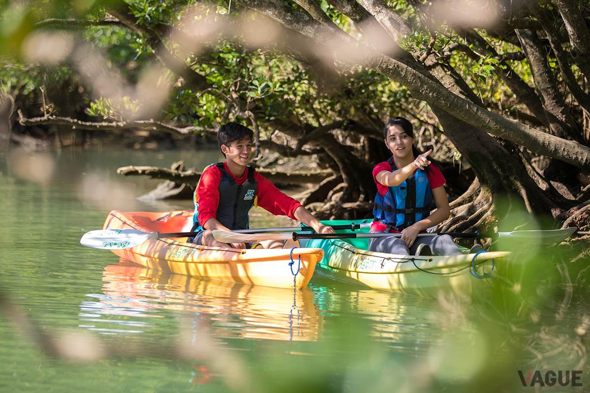 目の前に“アリビラブルー”と称される青々とした海が広がる「ホテル日航アリビラ －ヨミタンリゾート沖縄－」では、冬の沖縄の大自然を満喫できる「マングローブカヤック体験つき宿泊プラン」を販売中