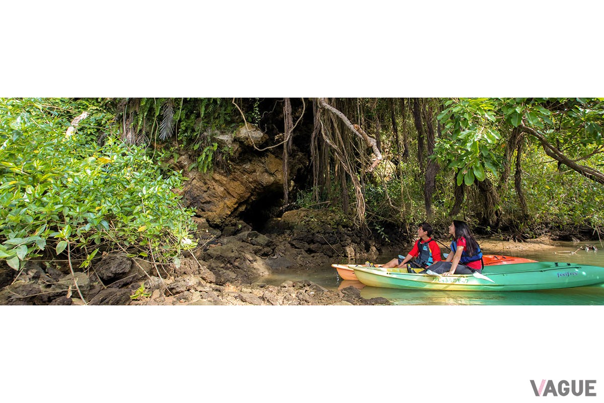 目の前に“アリビラブルー”と称される青々とした海が広がる「ホテル日航アリビラ －ヨミタンリゾート沖縄－」では、冬の沖縄の大自然を満喫できる「マングローブカヤック体験つき宿泊プラン」を販売中