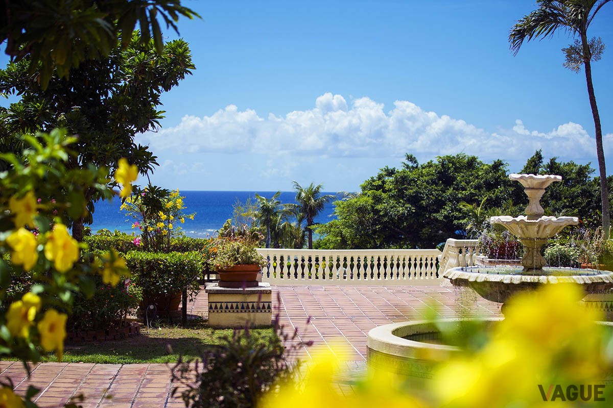 目の前に“アリビラブルー”と称される青々とした海が広がる「ホテル日航アリビラ －ヨミタンリゾート沖縄－」では、冬の沖縄の大自然を満喫できる「マングローブカヤック体験つき宿泊プラン」を販売中