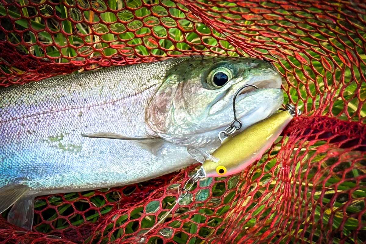 ラパラの真骨頂であるウォブリングアクションをあえて封印。ボトムでもいい仕事をしてくれます。根がかりを回避するため、ポイント（針先）がやや内側に入ったフックを使うのがキモ。ヒットカラーはジャパンスペシャルのARS(アーミースウィート)