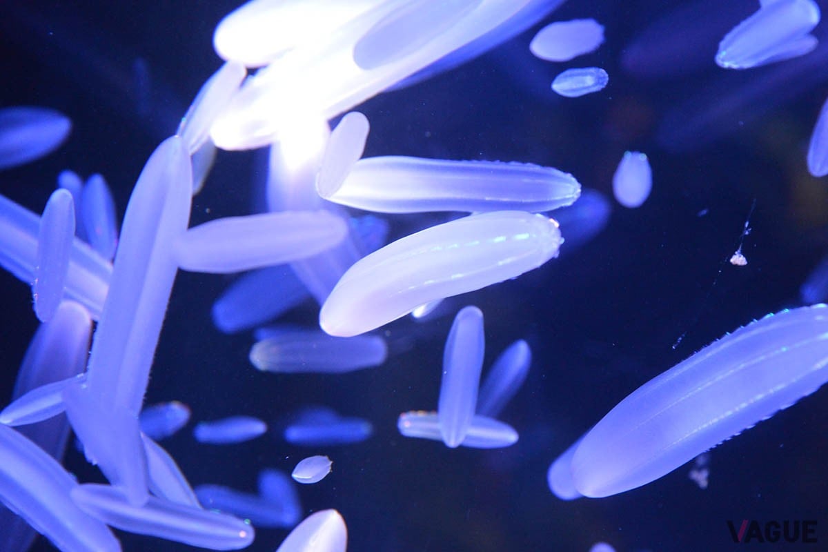 2024年12月現在、ETCの利用率は全体の95.1％とほとんどのドライバーがETCを使っているのだが、まだ「ETC周遊割引」を知らない人も多い