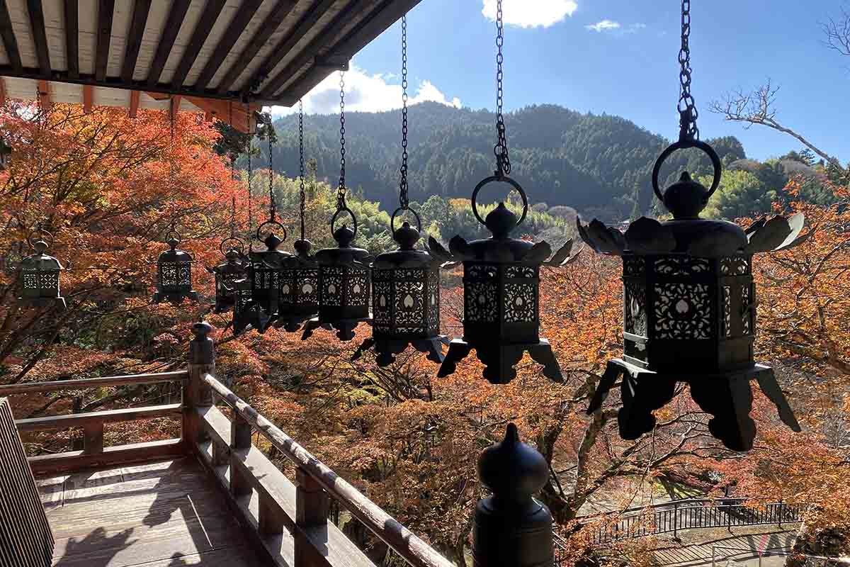 紅葉のシーズンもまもなく終わり。各高速道路会社のETC周遊パスを活用しておトクにドライブを楽しみたい