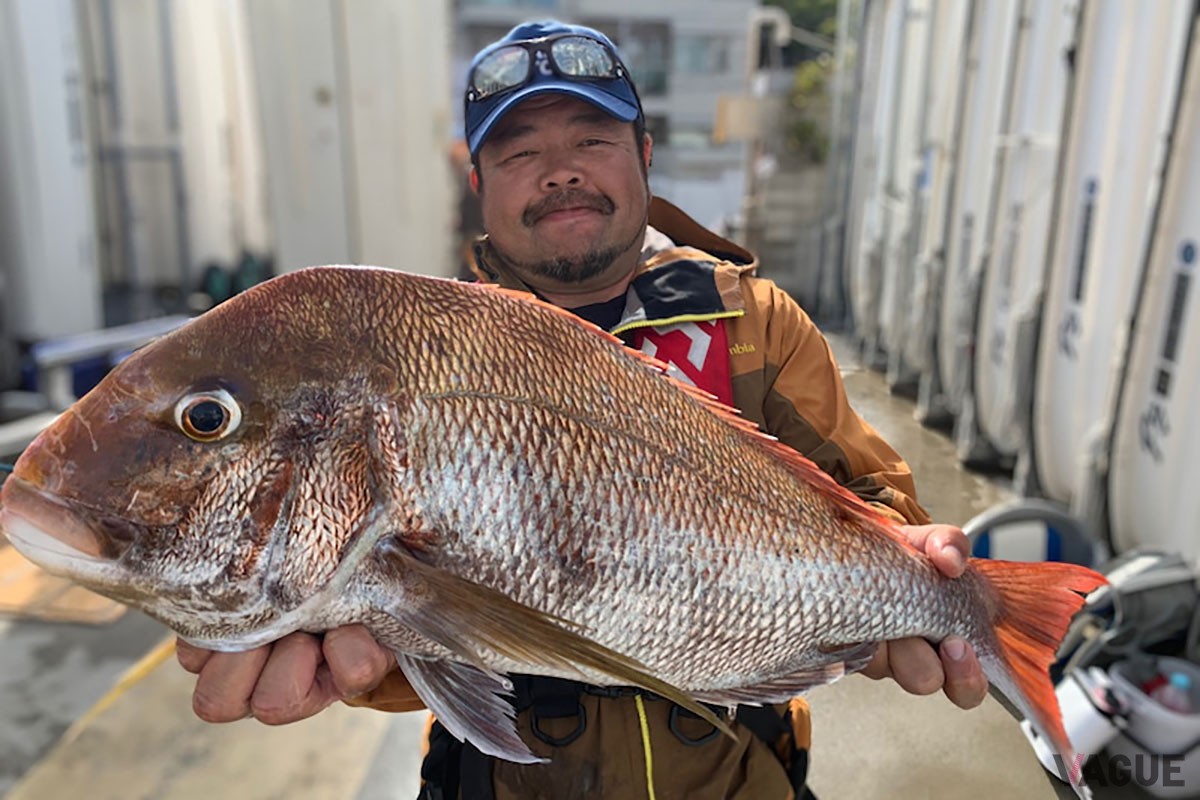 一匹釣れれば家族もニッコリな重量感。鯛釣りの楽しさが味わえます