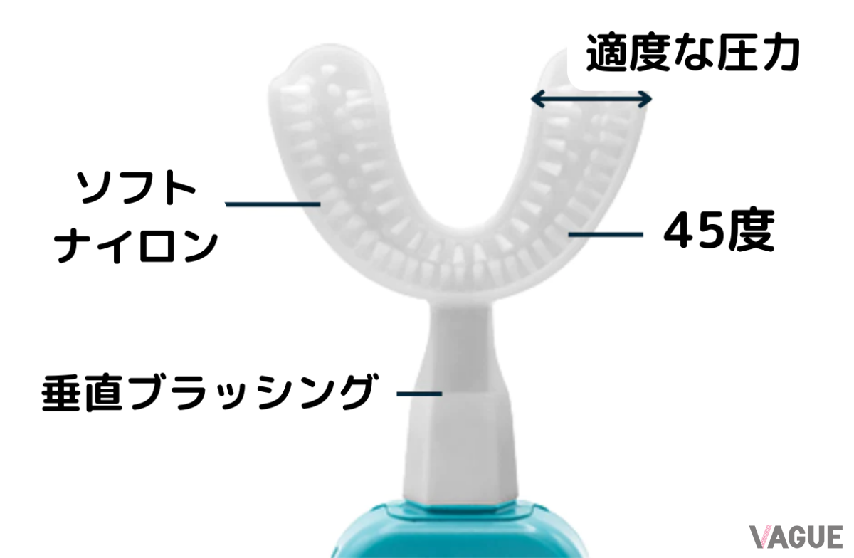 口の中に入れて歯にフィットする形状