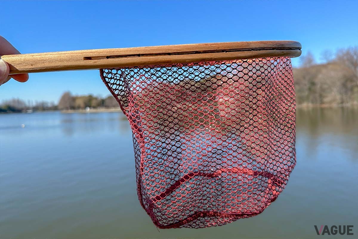 TULALAの「リス捕りあみSS」は、ネットの深さに余裕があるので多少大きな魚でも大丈夫です