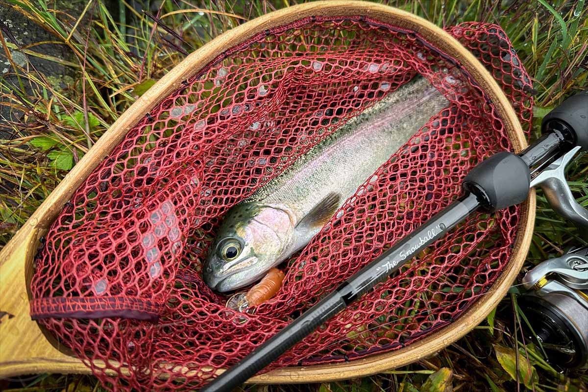 ランディングネットは安全に魚をキャッチできるだけでなく、写真を撮影するときにも重宝します
