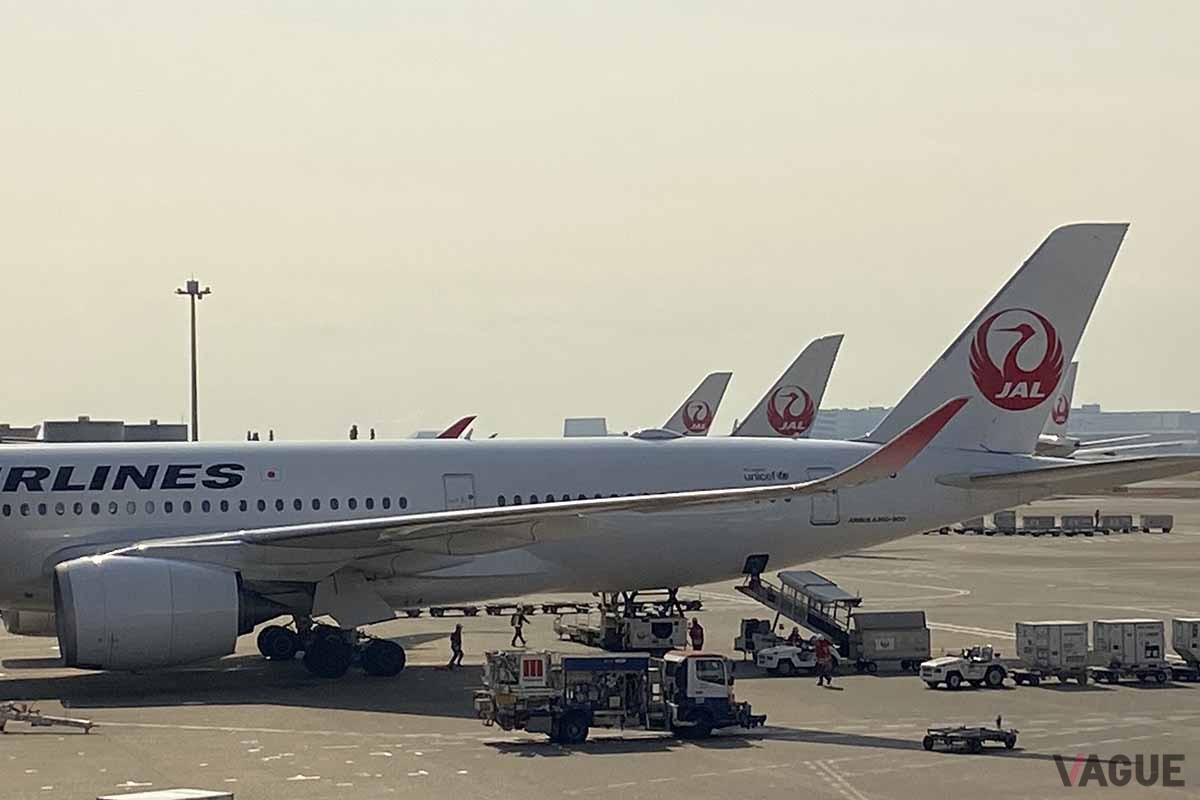 搭乗希望日の日付や時間帯によっては、通常往復に2万マイル必要な東京や大阪からの石垣、宮古に6000マイルで行くことも可能なのがJAL「どこかにマイル」だ