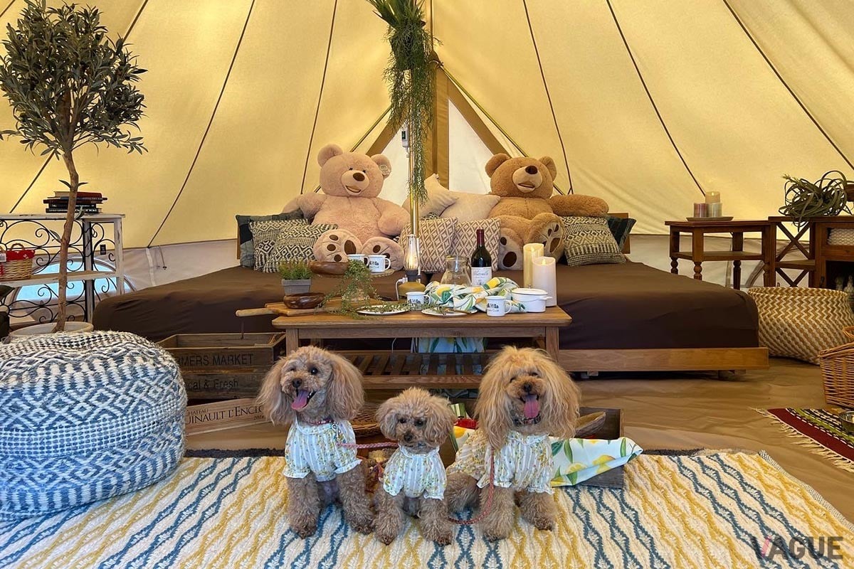 複合型アウトドア施設「58ロハスクラブ」内に誕生したグランピング施設「栃木ファームグランピング Rustic CAMP-ラスティックキャンプ-」