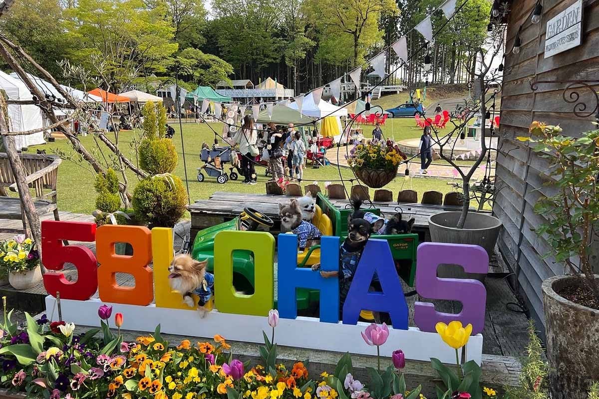 複合型アウトドア施設「58ロハスクラブ」内に誕生したグランピング施設「栃木ファームグランピング Rustic CAMP-ラスティックキャンプ-」