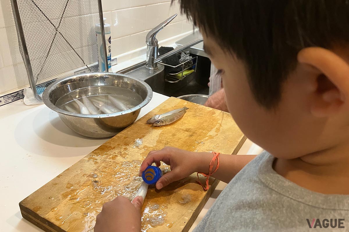 さばくのもカンタンなので子どもで簡単にさばけます。「獲って食う」をはじめて体験するのにもってこいですよ