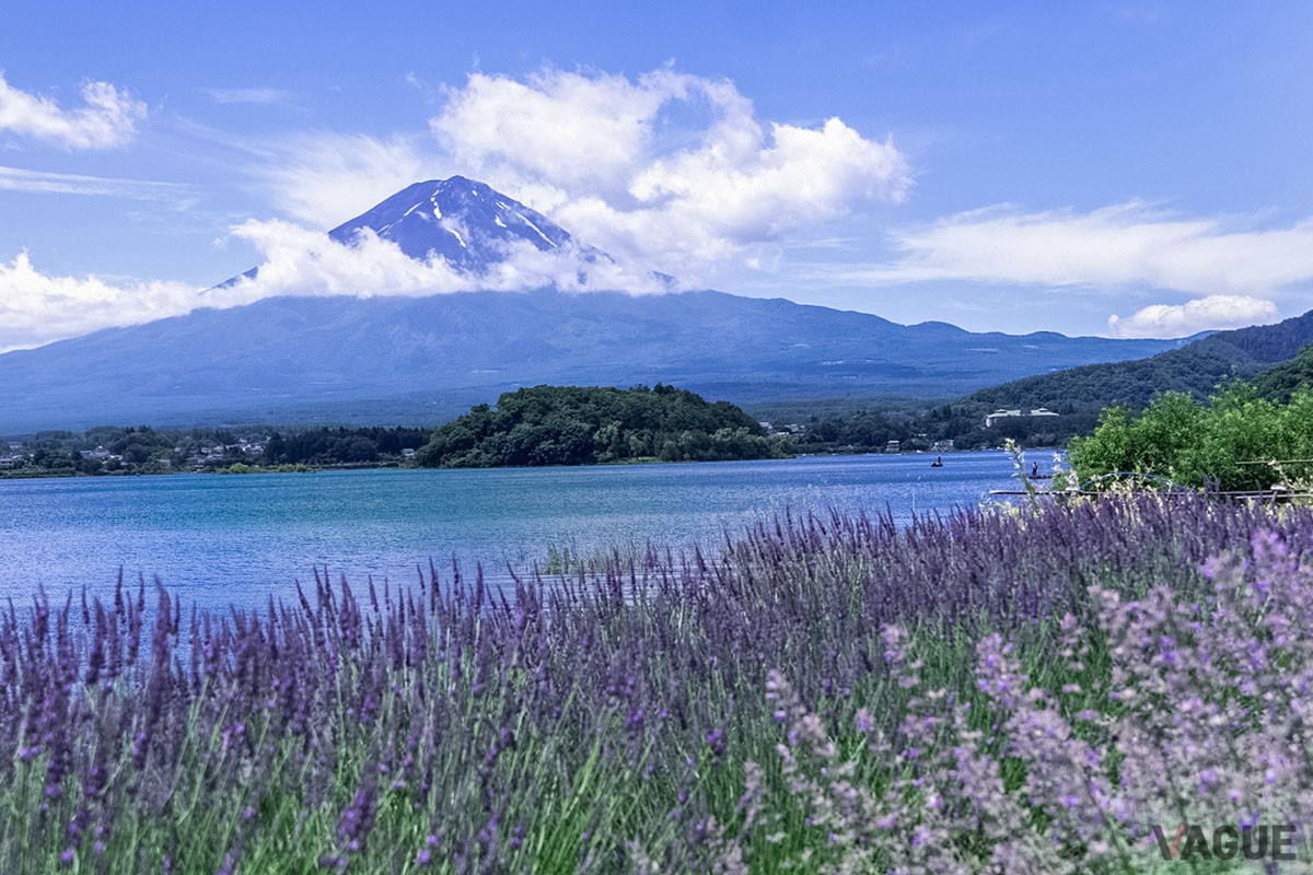 富士五湖での湖上アクティビティを満喫できる、都心からクルマで約90分の山梨県富士河口湖町に誕生したグランピング施設「グランファーム富士河口湖」