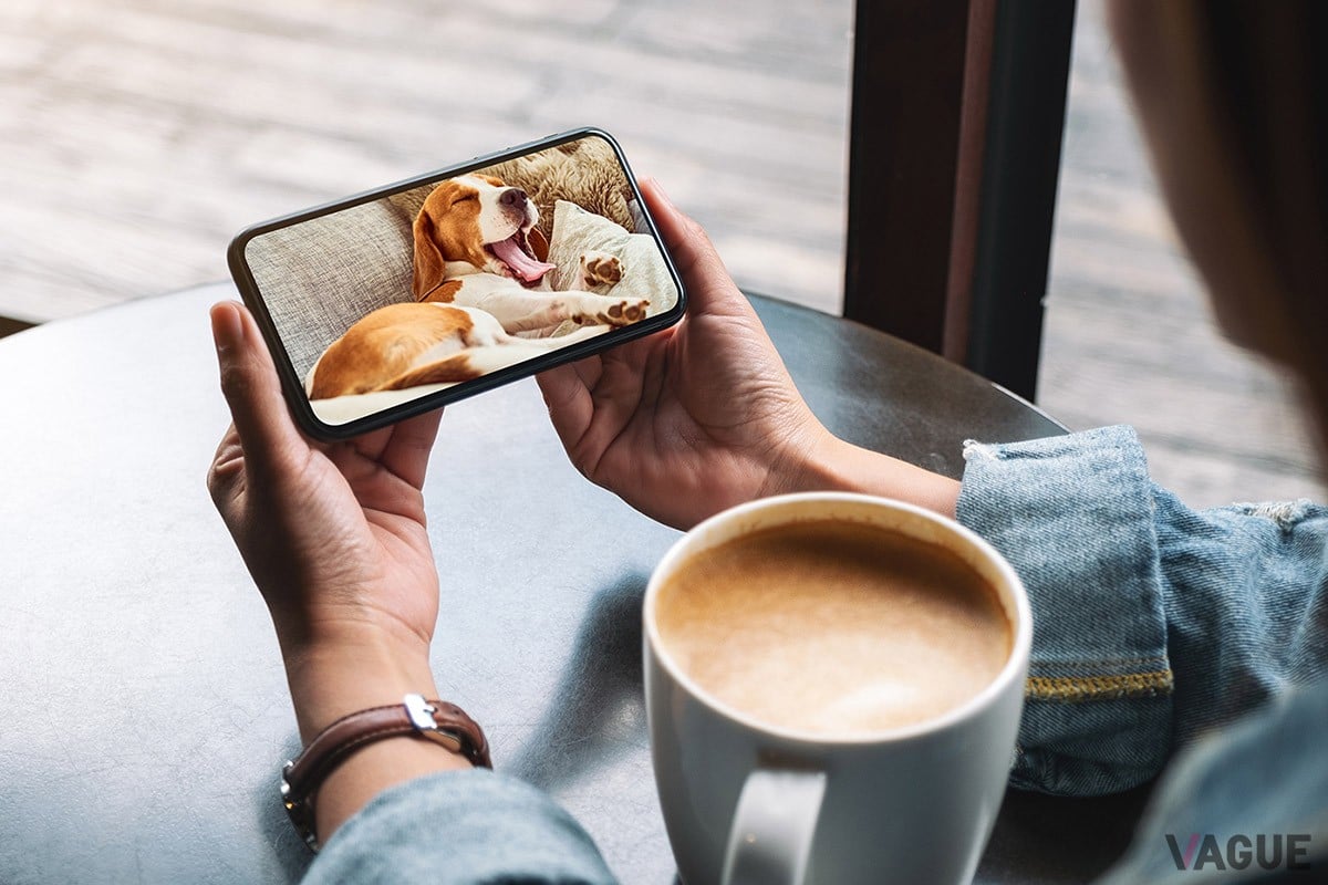 専用アプリ「どこでもディーガ」の優れた使い勝手がユーザーから高評価を得ているパナソニックのBDレコーダー「ディーガ」シリーズ。最新モデル「全自動ディーガ」でもその美点を余すところなく味わえます