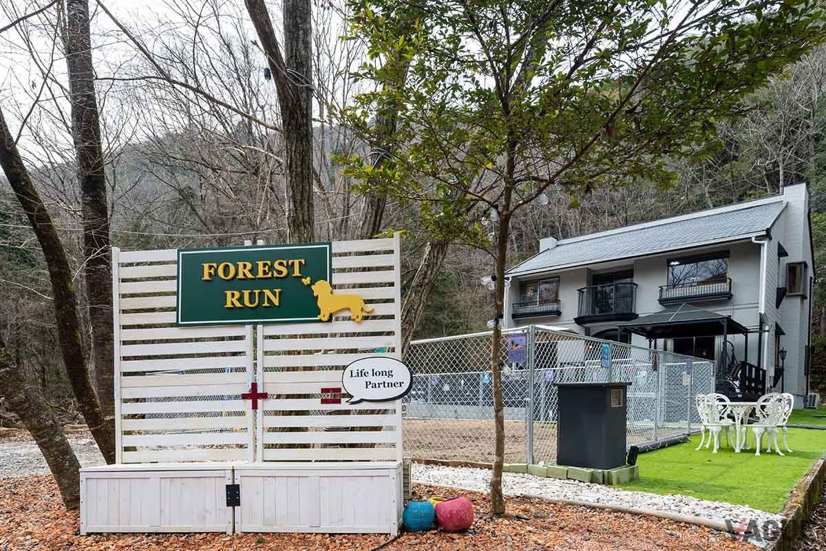 屋内と屋外にあるドッグランやウッドデッキに配されたプールなどで愛犬との楽しい時間を満喫できる宿泊施設「ヴィラ フォレスト ラン」