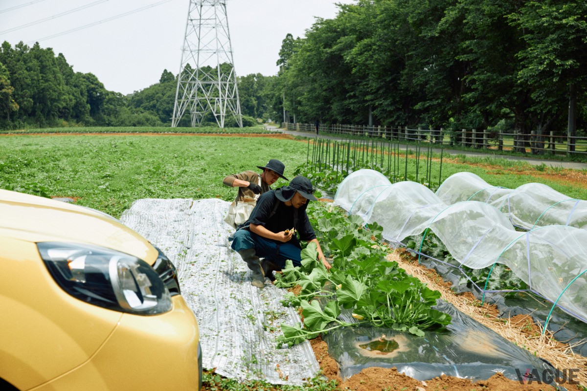 成田ゆめ牧場にオープンした、カングーオーナーがつながる「カングーファーム」