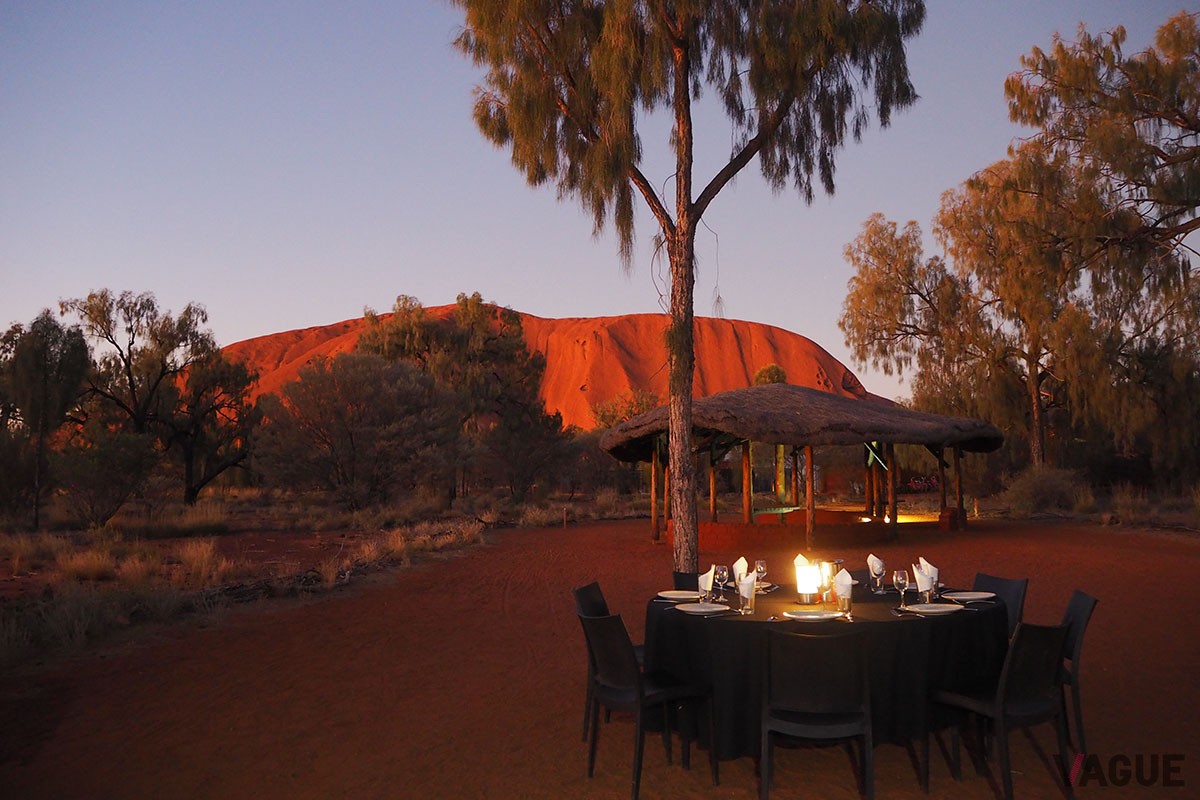 すぐそばでグリルされたカンガルーやビーフ、新鮮野菜などを、スパークリングワインや地元のクラフトビールと合わせていただけるのです。食後はゆっくり星空観測も叶います。