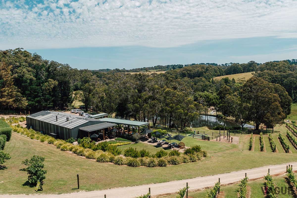 動物とも触れ会えるオリーブ農園「グリーン・オリーブ・アット・レッドヒル」。