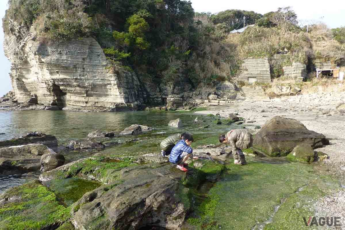 外房の海岸