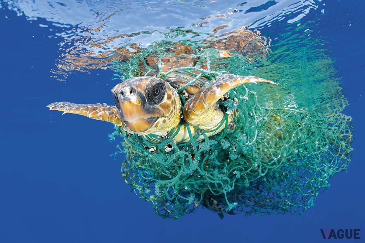 海洋ゴミの46%を占めるともいわれる廃漁網。海洋生物の生命を脅かすなど既に事態は深刻だ