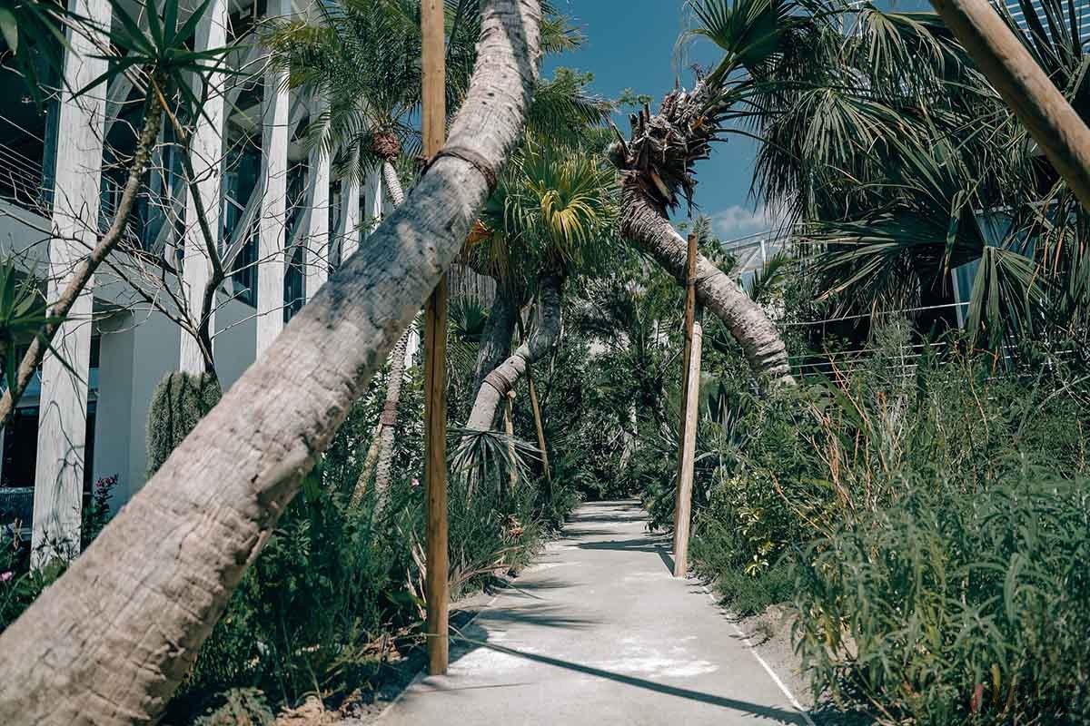 プールに向かう一本道「BOTANICAL PATH」ではジャングルを抜け出るような感覚を演出