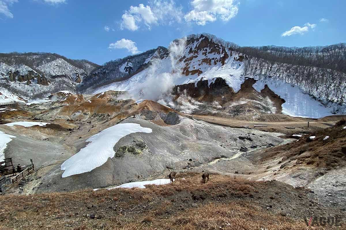 北海道を満喫できるETC周遊割「HOKKAIDO LOVE！ 道トクふりーぱす セットプラン」
